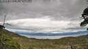 ./images/calvert/fitz-hugh-hecate/20260509/fitz-hugh-hecate20260509_150002M.jpg