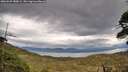 ./images/calvert/fitz-hugh-hecate/20260509/fitz-hugh-hecate20260509_180001M.jpg