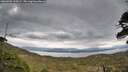 ./images/calvert/fitz-hugh-hecate/20260509/fitz-hugh-hecate20260509_193002M.jpg