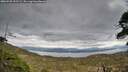 ./images/calvert/fitz-hugh-hecate/20260509/fitz-hugh-hecate20260509_193501M.jpg