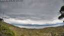 ./images/calvert/fitz-hugh-hecate/20260509/fitz-hugh-hecate20260509_194502M.jpg