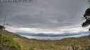./images/calvert/fitz-hugh-hecate/20260509/fitz-hugh-hecate20260509_195001M.jpg