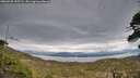 ./images/calvert/fitz-hugh-hecate/20260509/fitz-hugh-hecate20260509_195501M.jpg