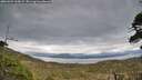 ./images/calvert/fitz-hugh-hecate/20260509/fitz-hugh-hecate20260509_200001M.jpg