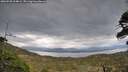 ./images/calvert/fitz-hugh-hecate/20260509/fitz-hugh-hecate20260509_204002M.jpg