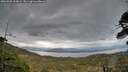 ./images/calvert/fitz-hugh-hecate/20260509/fitz-hugh-hecate20260509_205001M.jpg