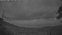./images/calvert/fitz-hugh-hecate/20260509/fitz-hugh-hecate20260509_214002M.jpg