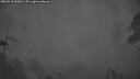 ./images/calvert/fitz-hugh-hecate/20260510/fitz-hugh-hecate20260510_051001M.jpg