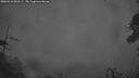 ./images/calvert/fitz-hugh-hecate/20260510/fitz-hugh-hecate20260510_051501M.jpg