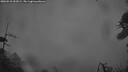./images/calvert/fitz-hugh-hecate/20260510/fitz-hugh-hecate20260510_052001M.jpg