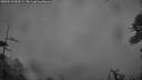 ./images/calvert/fitz-hugh-hecate/20260510/fitz-hugh-hecate20260510_052501M.jpg