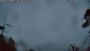 ./images/calvert/fitz-hugh-hecate/20260510/fitz-hugh-hecate20260510_053001M.jpg