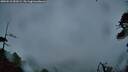 ./images/calvert/fitz-hugh-hecate/20260510/fitz-hugh-hecate20260510_053501M.jpg