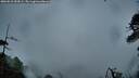 ./images/calvert/fitz-hugh-hecate/20260510/fitz-hugh-hecate20260510_054501M.jpg