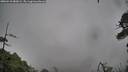 ./images/calvert/fitz-hugh-hecate/20260510/fitz-hugh-hecate20260510_082002M.jpg