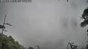 ./images/calvert/fitz-hugh-hecate/20260510/fitz-hugh-hecate20260510_082501M.jpg