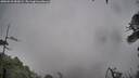 ./images/calvert/fitz-hugh-hecate/20260510/fitz-hugh-hecate20260510_083001M.jpg