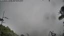 ./images/calvert/fitz-hugh-hecate/20260510/fitz-hugh-hecate20260510_083501M.jpg