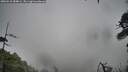 ./images/calvert/fitz-hugh-hecate/20260510/fitz-hugh-hecate20260510_084001M.jpg