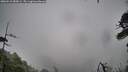 ./images/calvert/fitz-hugh-hecate/20260510/fitz-hugh-hecate20260510_085001M.jpg