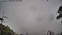 ./images/calvert/fitz-hugh-hecate/20260510/fitz-hugh-hecate20260510_085501M.jpg