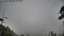 ./images/calvert/fitz-hugh-hecate/20260510/fitz-hugh-hecate20260510_100501M.jpg