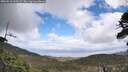 ./images/calvert/fitz-hugh-hecate/20260510/fitz-hugh-hecate20260510_130501M.jpg