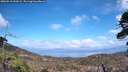 ./images/calvert/fitz-hugh-hecate/20260510/fitz-hugh-hecate20260510_144501M.jpg