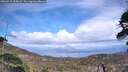 ./images/calvert/fitz-hugh-hecate/20260510/fitz-hugh-hecate20260510_155001M.jpg