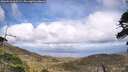 ./images/calvert/fitz-hugh-hecate/20260510/fitz-hugh-hecate20260510_160501M.jpg