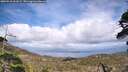 ./images/calvert/fitz-hugh-hecate/20260510/fitz-hugh-hecate20260510_161001M.jpg