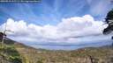 ./images/calvert/fitz-hugh-hecate/20260510/fitz-hugh-hecate20260510_162501M.jpg
