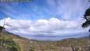 ./images/calvert/fitz-hugh-hecate/20260510/fitz-hugh-hecate20260510_163501M.jpg