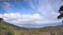 ./images/calvert/fitz-hugh-hecate/20260510/fitz-hugh-hecate20260510_164001M.jpg