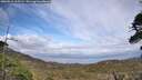 ./images/calvert/fitz-hugh-hecate/20260510/fitz-hugh-hecate20260510_165502M.jpg