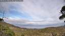 ./images/calvert/fitz-hugh-hecate/20260510/fitz-hugh-hecate20260510_170501M.jpg