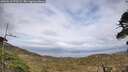 ./images/calvert/fitz-hugh-hecate/20260510/fitz-hugh-hecate20260510_173501M.jpg