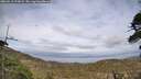 ./images/calvert/fitz-hugh-hecate/20260510/fitz-hugh-hecate20260510_175002M.jpg