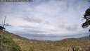 ./images/calvert/fitz-hugh-hecate/20260510/fitz-hugh-hecate20260510_175501M.jpg