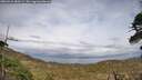 ./images/calvert/fitz-hugh-hecate/20260510/fitz-hugh-hecate20260510_180502M.jpg
