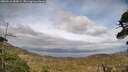 ./images/calvert/fitz-hugh-hecate/20260510/fitz-hugh-hecate20260510_183001M.jpg