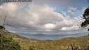 ./images/calvert/fitz-hugh-hecate/20260510/fitz-hugh-hecate20260510_190001M.jpg