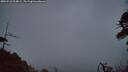 ./images/calvert/fitz-hugh-hecate/20260510/fitz-hugh-hecate20260510_214001M.jpg