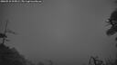 ./images/calvert/fitz-hugh-hecate/20260510/fitz-hugh-hecate20260510_215001M.jpg