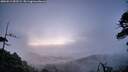 ./images/calvert/fitz-hugh-hecate/20260511/fitz-hugh-hecate20260511_052501M.jpg