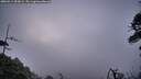 ./images/calvert/fitz-hugh-hecate/20260511/fitz-hugh-hecate20260511_053002M.jpg