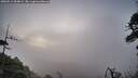 ./images/calvert/fitz-hugh-hecate/20260511/fitz-hugh-hecate20260511_054001M.jpg