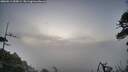 ./images/calvert/fitz-hugh-hecate/20260511/fitz-hugh-hecate20260511_055001M.jpg