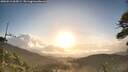 ./images/calvert/fitz-hugh-hecate/20260511/fitz-hugh-hecate20260511_065001M.jpg