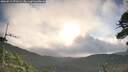 ./images/calvert/fitz-hugh-hecate/20260511/fitz-hugh-hecate20260511_071501M.jpg
